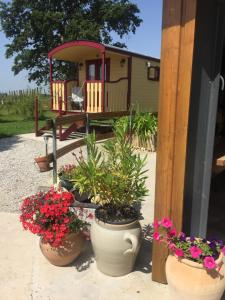 un gruppo di piante in vaso di fronte a una casa di La Roulotte au Paradis ad Arc-et-Senans