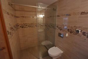 a bathroom with a shower and a toilet at U ELŻBIETY in Łeba +22 photos