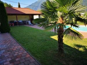 a palm tree in a yard next to a house at Apartments Volče in Tolmin
