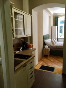 Gallery image of Apartment Vertigo in Karlovy Vary