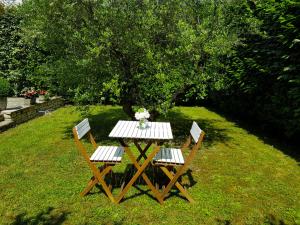 een picknicktafel met 2 stoelen en een vaas met bloemen bij Les oliviers in Rolle