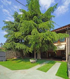 ein großer Baum im Hof eines Hauses in der Unterkunft Attico Limoni in Desenzano del Garda