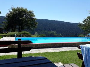 Bazén v ubytování Kniebergerhof nebo v jeho okolí + 37 fotografií