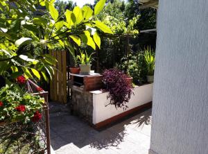 Zahrada ubytování Apartments Placovici