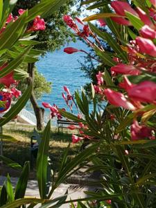 vistas al océano desde un jardín con flores en D&M APARTMAN 2, en Selce
