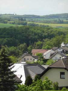 布蘭肯拉特的住宿－Ferienwohnung Am Wald，享有村庄的房屋和树木美景