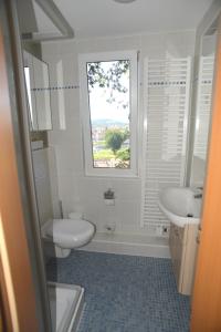 een badkamer met een toilet, een wastafel en een raam bij Schöne Höhe in Pirna