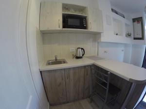 Una pequeña cocina con fregadero y microondas. en sweet home 2, en Ivano-Frankivsk