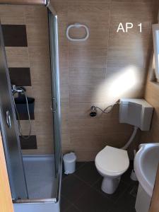 a bathroom with a shower with a toilet and a sink at Apartments Zora in Rogoznica