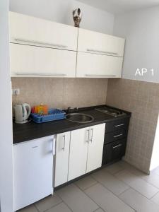 Kuchyň nebo kuchyňský kout v ubytování Apartments Zora