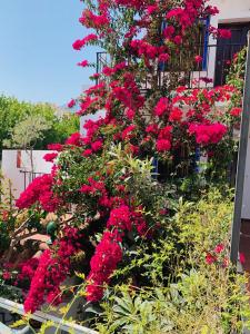 Pensión Aduar, Marbella – Updated 2022 Prices