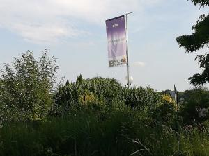 Zahrada ubytování B&B Bovenweg