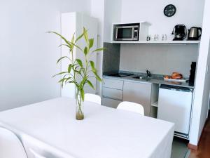 Una cocina blanca con una mesa con una planta. en Serrano Apartment Buenos Aires en Buenos Aires