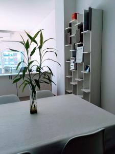 una planta en un jarrón sobre una mesa en una oficina en Serrano Apartment Buenos Aires en Buenos Aires