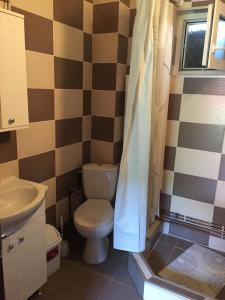 a bathroom with a toilet and a sink at La Teo in Măru +27 photos