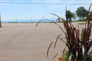 a plant sitting on the side of a road at Complexe Hotelier Escoumins in Les Escoumins