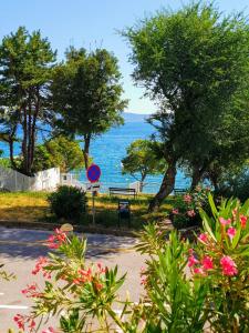 a view of the ocean from a park with flowers at D&M APARTMAN 2 in Selce
