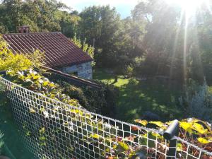 Zahrada ubytování Istria Divina
