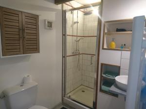 a bathroom with a shower and a toilet and a sink at Le petit pays in Montgivray