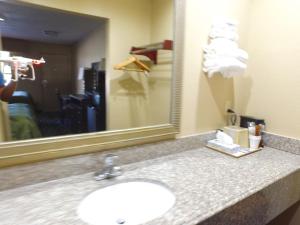 a bathroom counter with a sink and a mirror at Cross Road Motel in Trenton