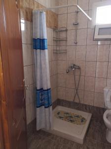 a bathroom with a shower with a shower curtain and a toilet at Seaside House in Ávdhira