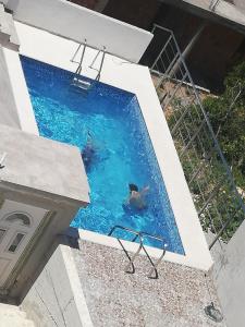 Bazén v ubytování Apartments Svetlana nebo v jeho okolí