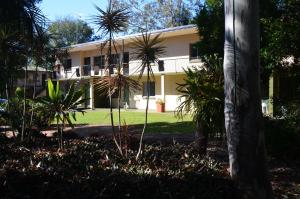 a house with a palm tree in front of it at Forest Lodge Apartments in Brisbane
