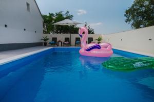 uma piscina com um flamingo rosa na água em Villa Lanterna em Prapatnica