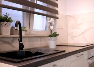 Kuchyň nebo kuchyňský kout v ubytování Apartman Muracca