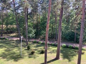 Ogród w obiekcie REZYDENCJA ZEFIR AUGUSTOW (Podlasie)