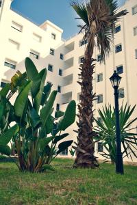 Photo de la galerie de l'établissement Amazing New Central Apartment, Modern, very Clean and very Comfortable, à Rabat