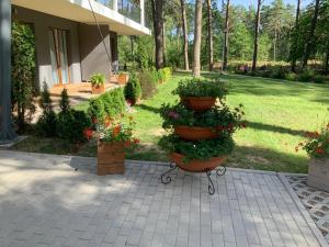 Ogród w obiekcie REZYDENCJA ZEFIR AUGUSTOW (Podlasie)