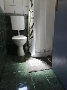 uma casa de banho com um WC e uma cortina de chuveiro em Jakov em Sveti Filip i Jakov