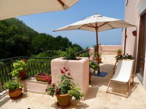 馬拉泰亞的住宿－Casa Puccini B&B Maratea，阳台种有盆栽植物和雨伞