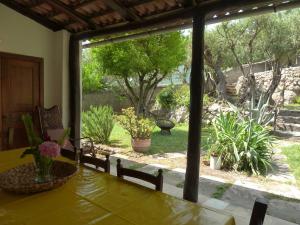 Zahrada ubytování Casa Puccini B&B Maratea