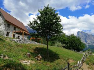 un albero su una collina accanto a un edificio di Guest house PANORAMA a Theth