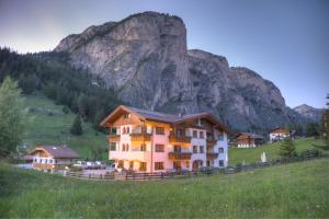 a house in a field with a mountain in the background at Garni Hotel Iris in Selva di Val Gardena