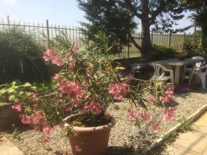 Gallery image of Ca' Fiorita in Acqui Terme