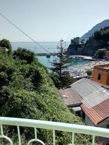 蒙泰羅索阿爾馬雷的住宿－Monterosso Servano's Villas，阳台享有海景。