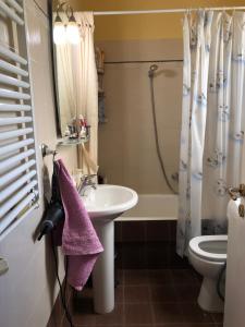 a bathroom with a sink and a shower and a toilet at Anna Apartment in Kypseli in Athens