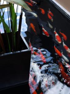a aquarium with koi fish in a black box at Amari Vogue Krabi in Tab Kaek Beach