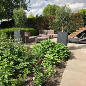 Zahrada ubytování B&B Bleiswijk