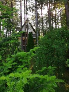 a house in the middle of a forest of trees at Vila Vera in Zlatibor