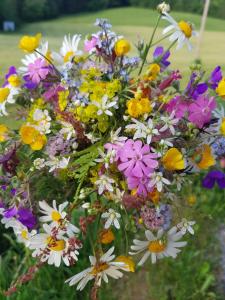 ein Blumenstrauß in einer Vase in der Unterkunft Haus Ortner in Russbach am Pass Gschütt