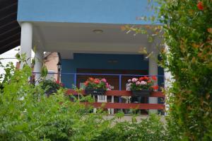 two potted plants on a bench in front of a building at Miklós FKK Naturist in Szigetszentmiklós