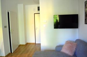 A television and/or entertainment centre at Apartament przy Parku