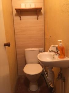 uma casa de banho com um WC e um lavatório em Veriora apartment em Veriora