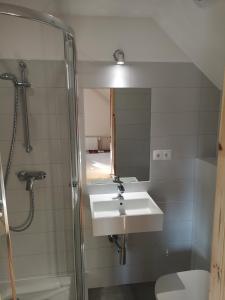 a bathroom with a sink and a shower at Mylak BIANCA in Korbielów