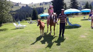 Fotografie z fotogalerie ubytování Camping Nad Karpatamy SPA v destinaci Hrobyshche