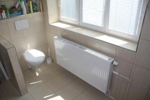 a bathroom with a white toilet and a window at Apartmán v Kašperských Horách in Kašperské Hory